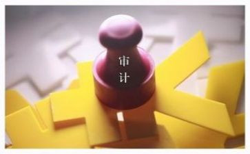 局审计工作总结参考7篇