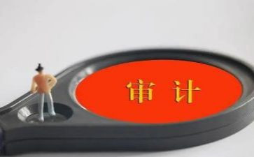 审计处工作计划模板5篇