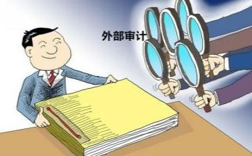 年度审计工作总结7篇