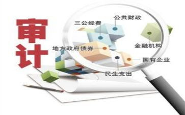个人审计总结报告7篇