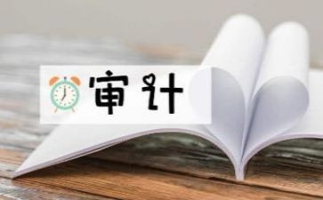 年度审计工作总结报告6篇