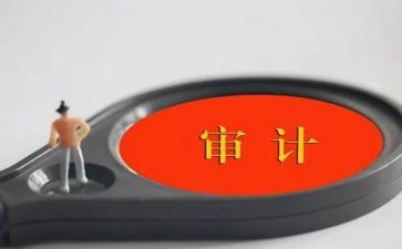 2024年审计半年工作总结5篇