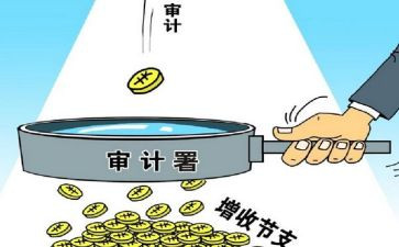 公司审计工作总结范文6篇