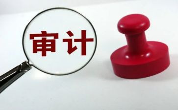 审计员年度总结推荐8篇