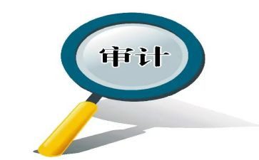 内部审计半年度工作总结5篇