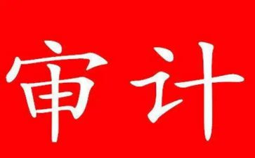 审计员年度总结5篇