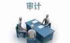 公司内部审计工作总结8篇