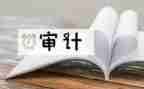 年度审计工作总结报告6篇