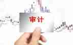 内部审计工作总结最新7篇