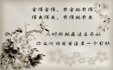 舍与得作文800字精选7篇