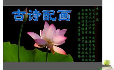 我与诗作文600字5篇