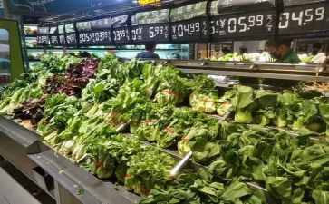 市场方案范文6篇