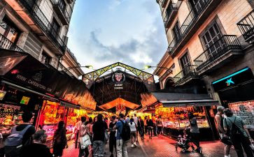 文化市场科工作计划5篇