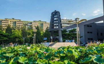 教师大计,师德为本的心得体会8篇