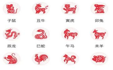 《十二生肖》教案参考7篇