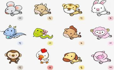 《十二生肖》教案模板6篇