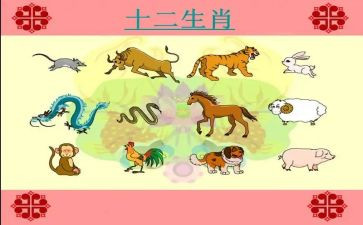 十二生肖教案大班社会教案6篇