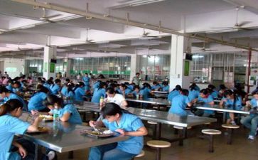 食堂的调查报告6篇