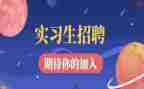 实习的工作总结范文优质5篇