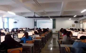 实训综合总结报告8篇