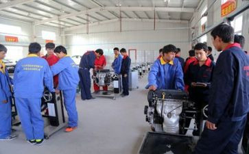 关于实训的心得体会范文5篇