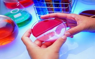 局解实验心得体会模板7篇