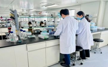 实验工作计划8篇