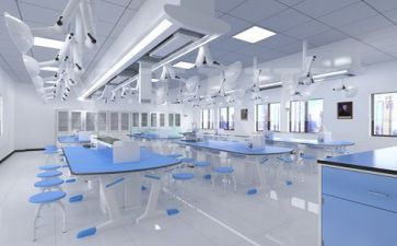 局解实验的心得体会8篇