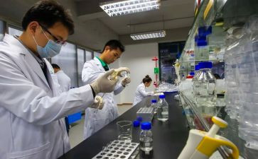 试验检测师工作总结5篇