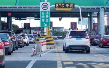 收费工作个人总结优质7篇