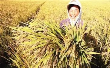劳动的收获和心得优秀8篇