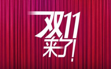 服装双11总结报告优质5篇