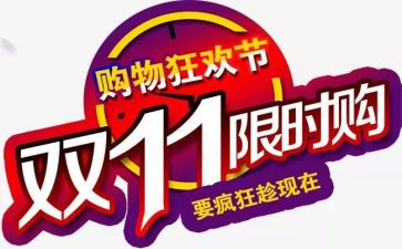双11调查报告7篇