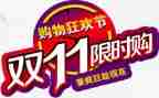 双11调查报告7篇