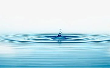 语言《水》教案通用5篇