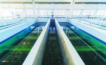 水厂工作计划5篇