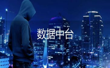 局大数据总结报告6篇