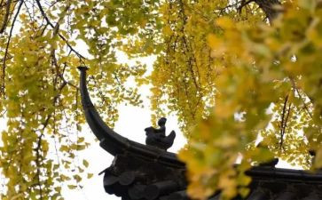 寺年终总结报告6篇
