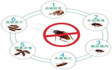 除四害的工作计划模板6篇