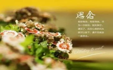 关于思念的作文5篇