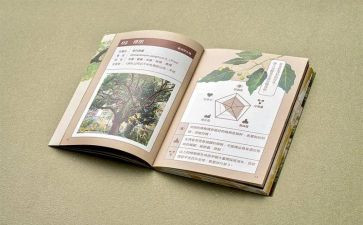 2024年学四史心得体会模板8篇