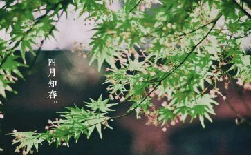 四月周工作计划优质7篇