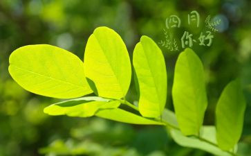 幼儿园教师四月工作总结7篇