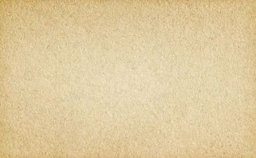 成长素材作文8篇