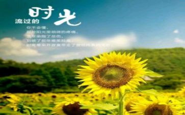 岁月在,我在读后感推荐8篇