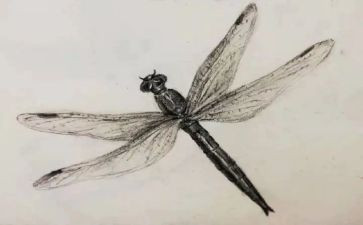 学素描作文6篇
