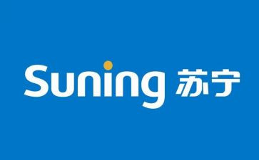 苏宁年度工作总结5篇