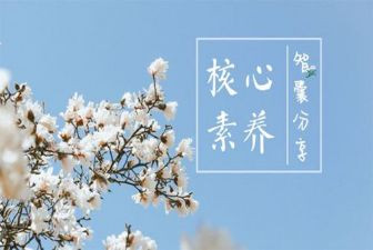 教师素养心得体会模板5篇