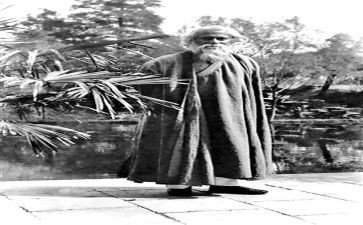 《泰戈尔诗集》读后感优秀6篇