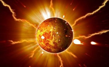 太阳和鱼读后感8篇